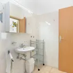 Biskupije 810